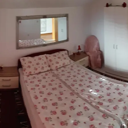 Apartment Maltasic *