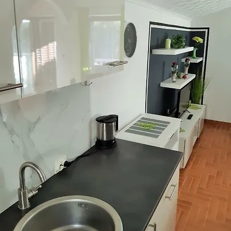 Apartment Maltasic *